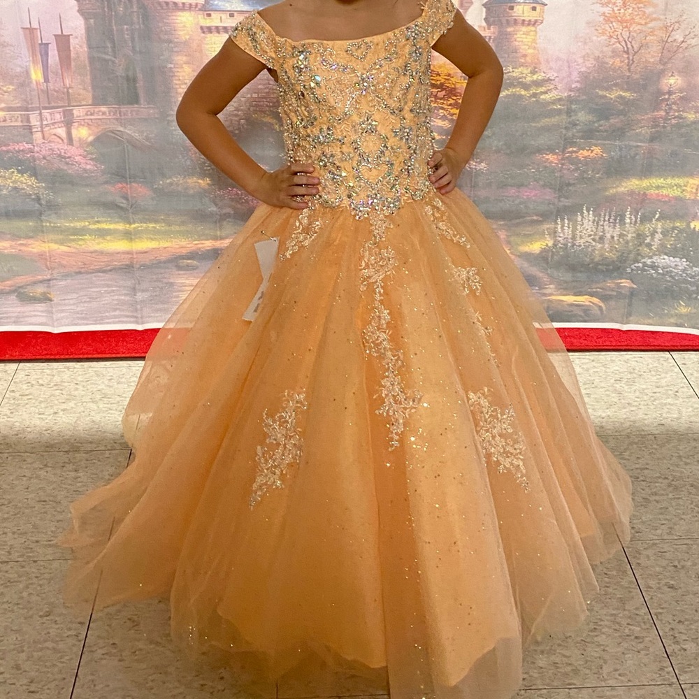 Tiffany Princess pageant dress